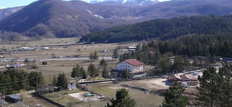 Orso Bianco
