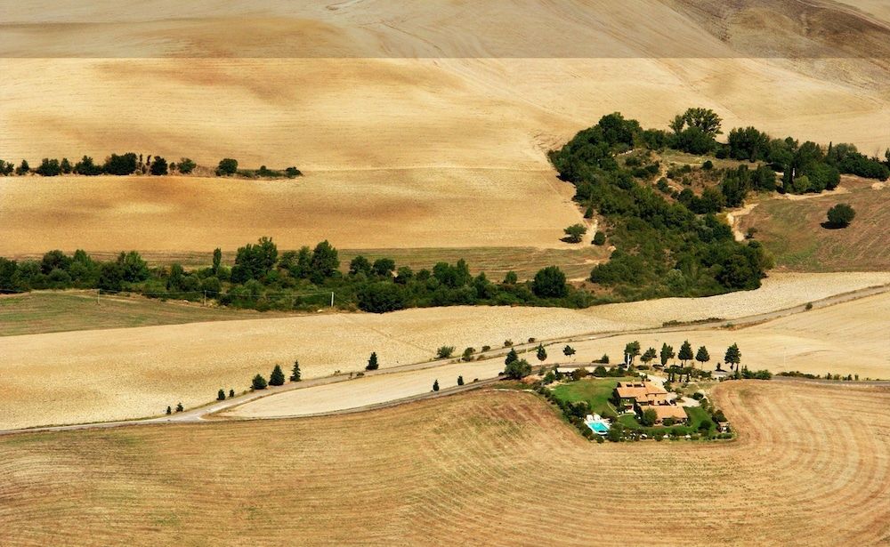 L'Olmo