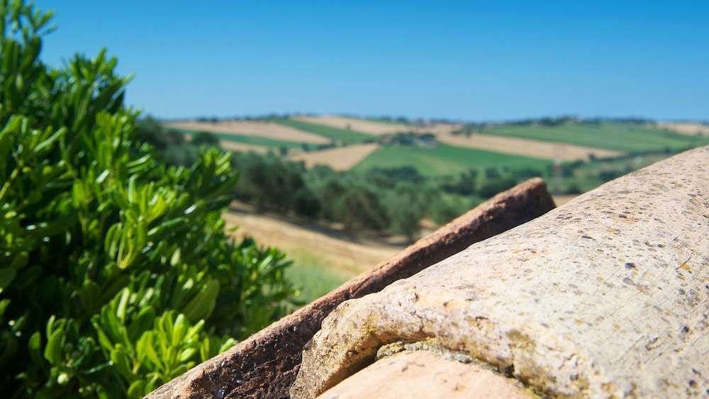Poggio Antico