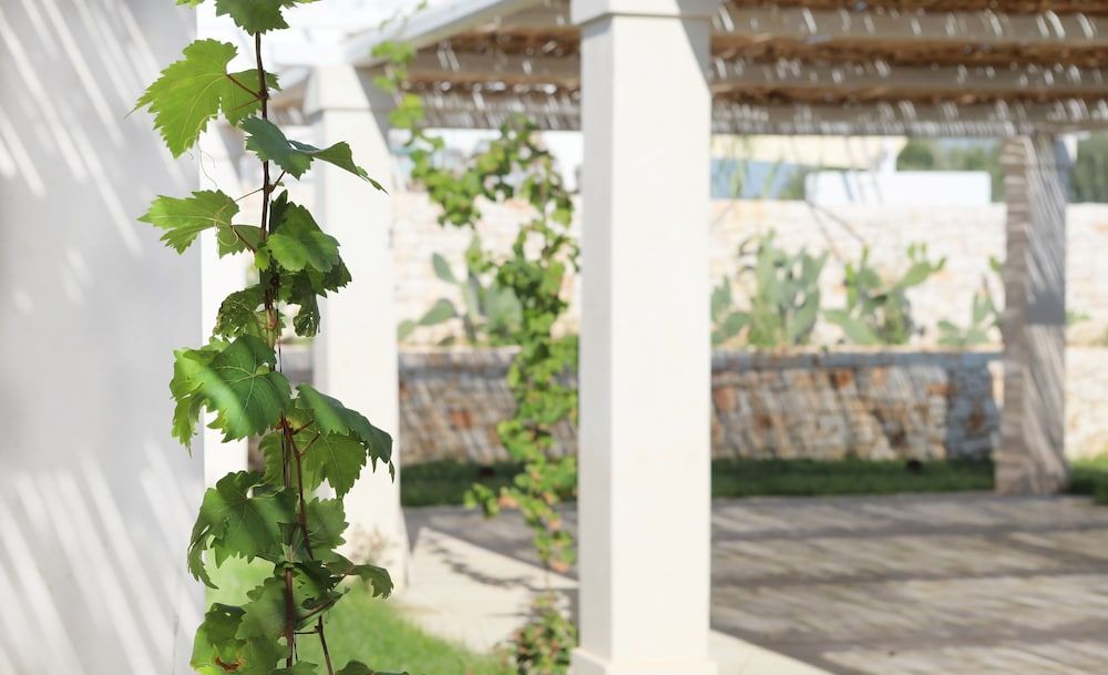 San Lorenzo - Boutique Hotel & Spa