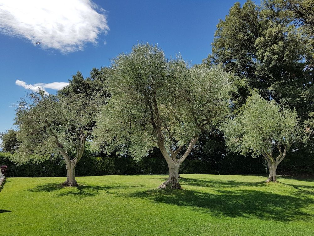 Albergo Villa Nencini
