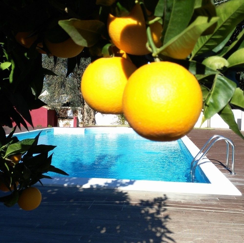 Agriturismo Malena