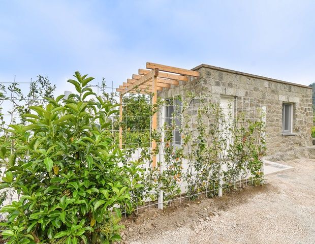 Tenuta C'Esta La Vie