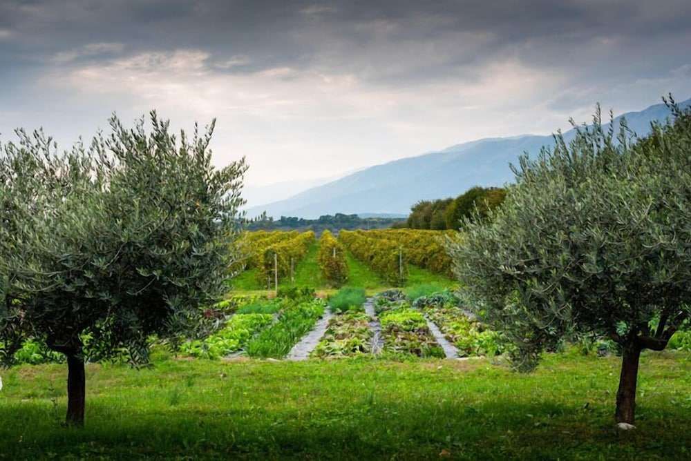 Luogo Del Giulio