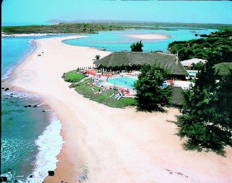 Royal Horizons Baobab