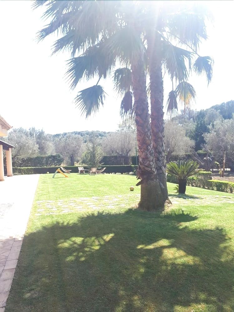Casale Degli Ulivi