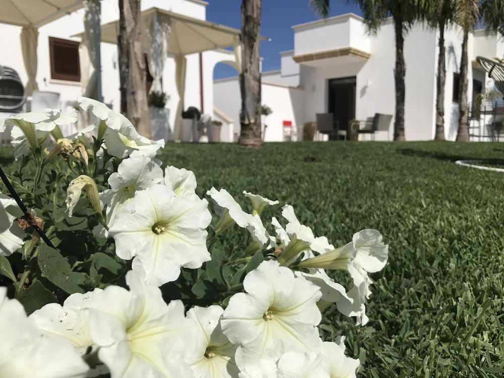 B&B Corte Salentina
