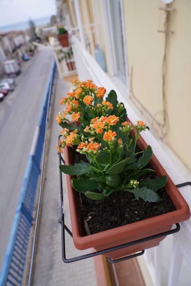 B&B Nodo Francescano
