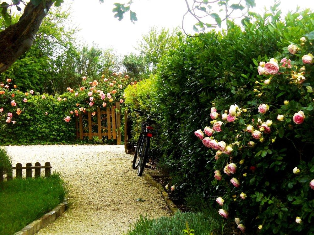 Corner Garden