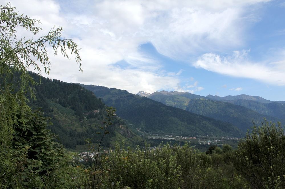 The Himalayan