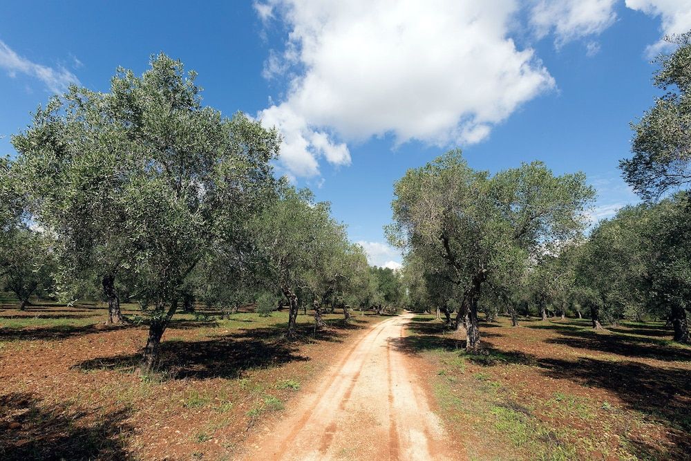 Masseria Piarmi