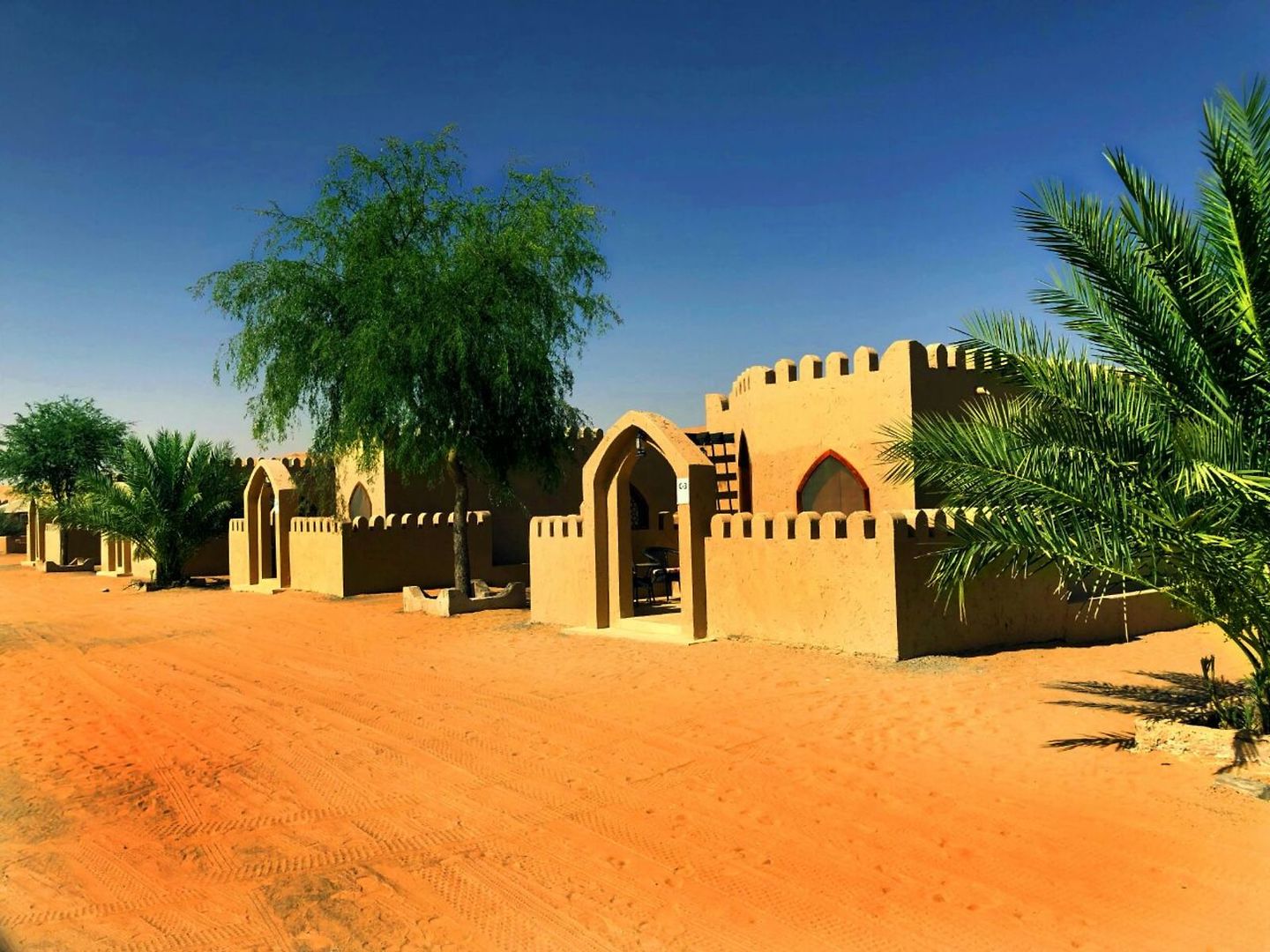 Arabian Oryx Camp
