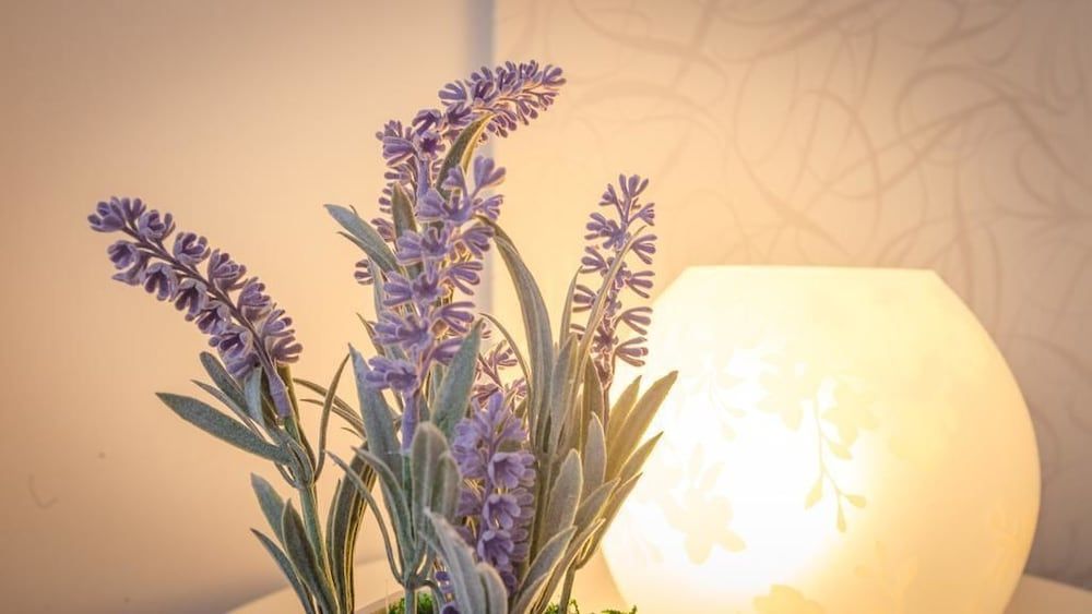 Il Bahari Selinunte B&B