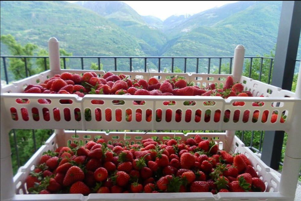 Agriturismo Da Ysy