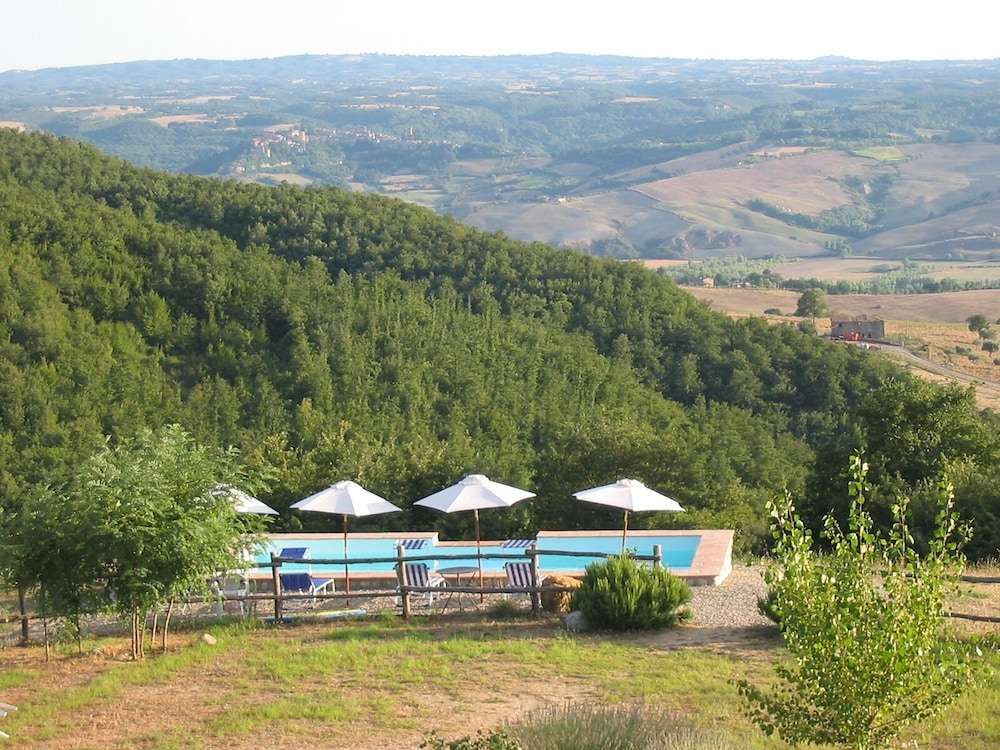 L'Albero Bianco