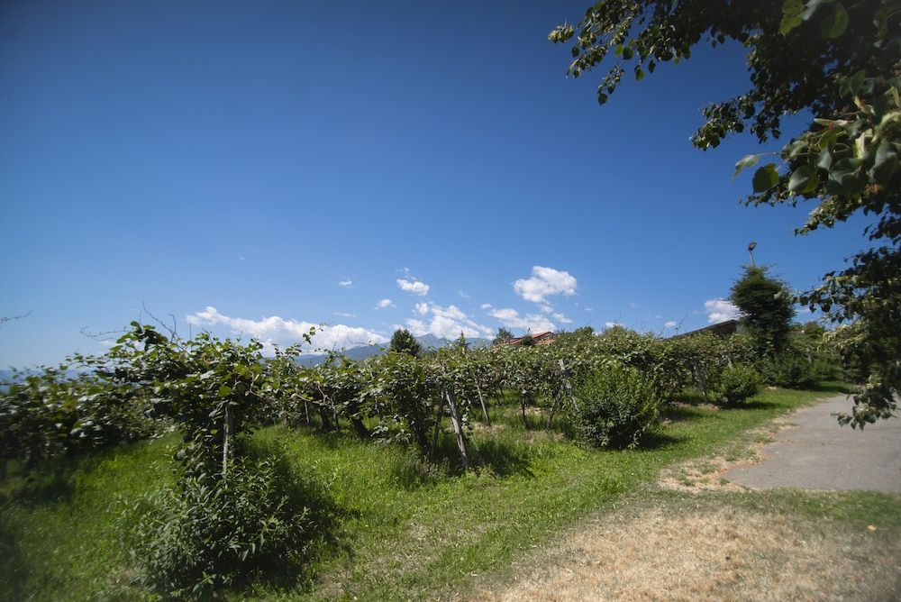 Agriturismo Turina
