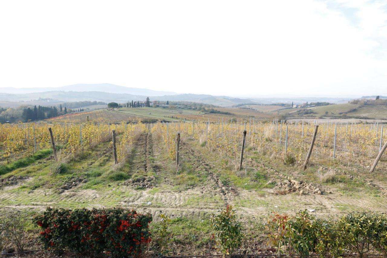 AZ.AGR.POGGIO REGINI