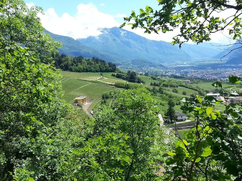 Agritur Al Vigneto
