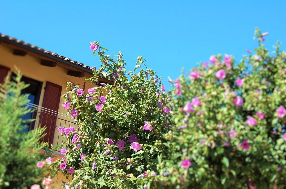 La Valle B&B