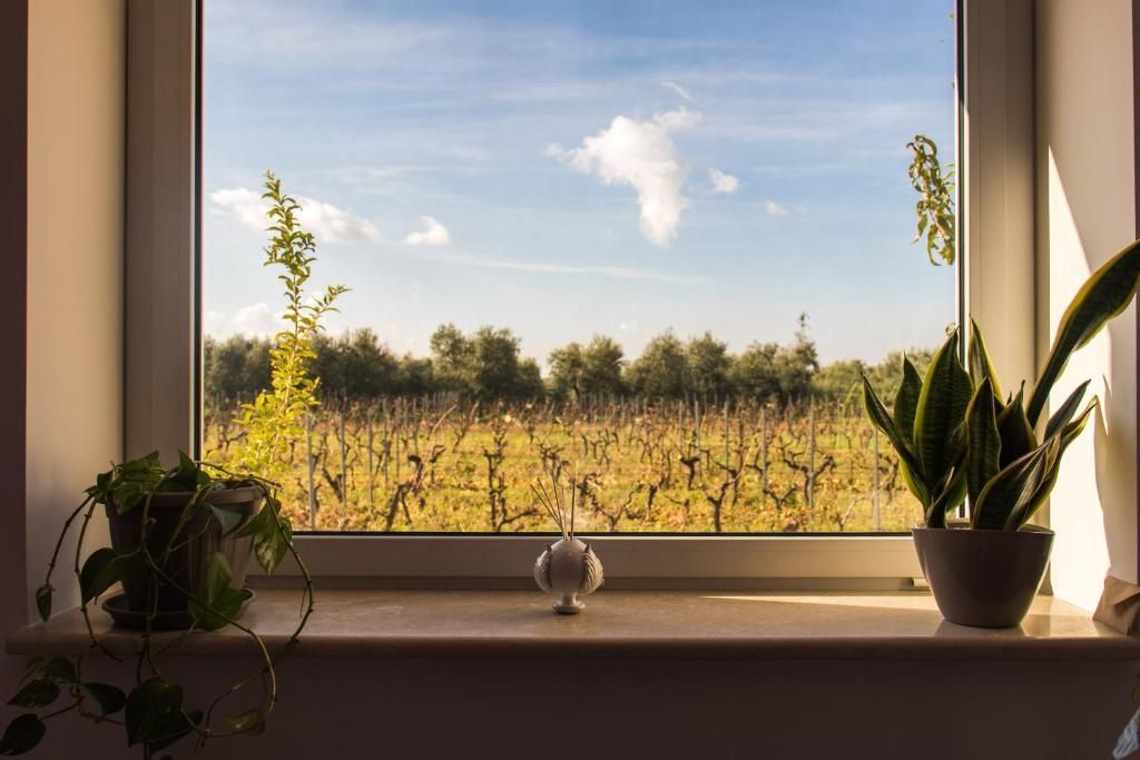 Tenuta Vigna Del Noce