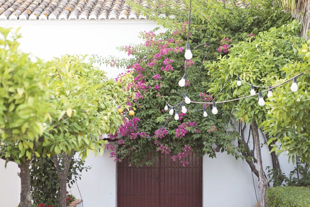 Cortijo del Arte