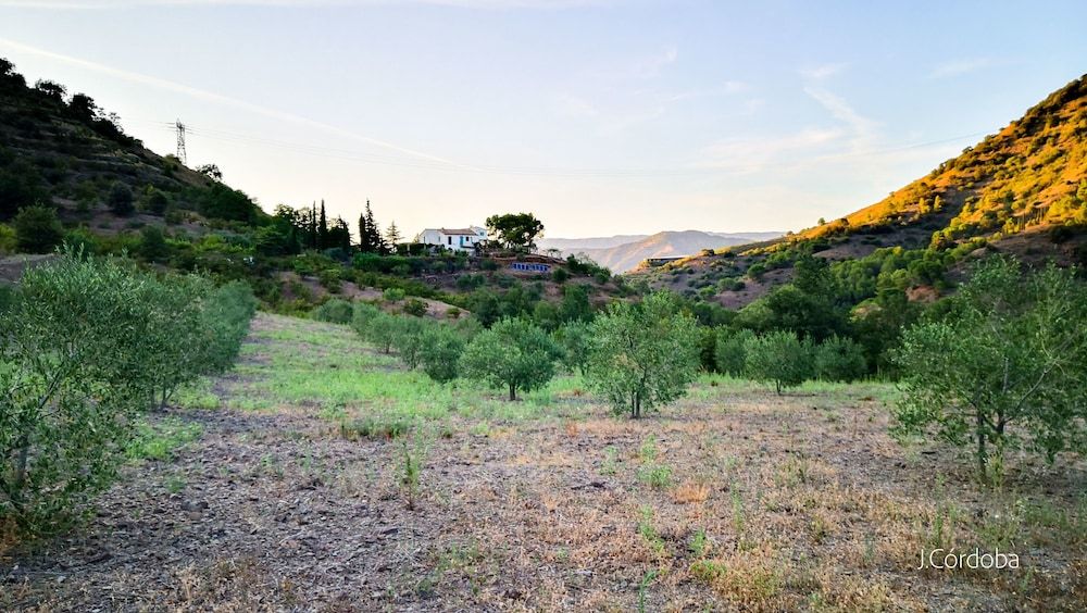 Mas Ardèvol