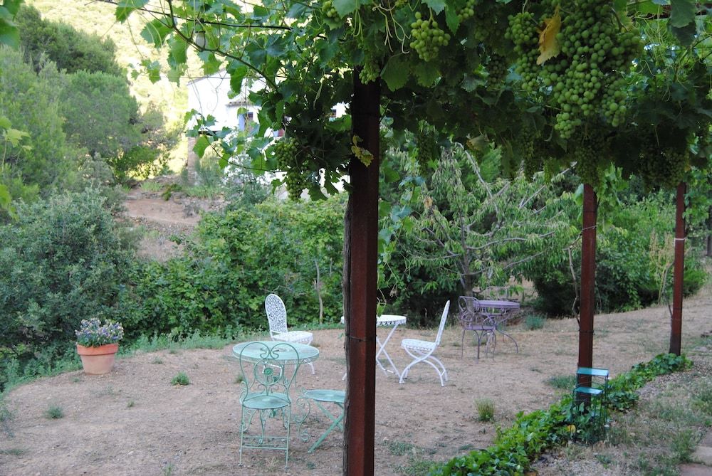 Mas Ardèvol