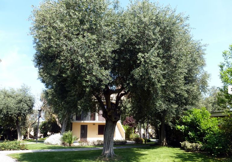 Villa Crawford