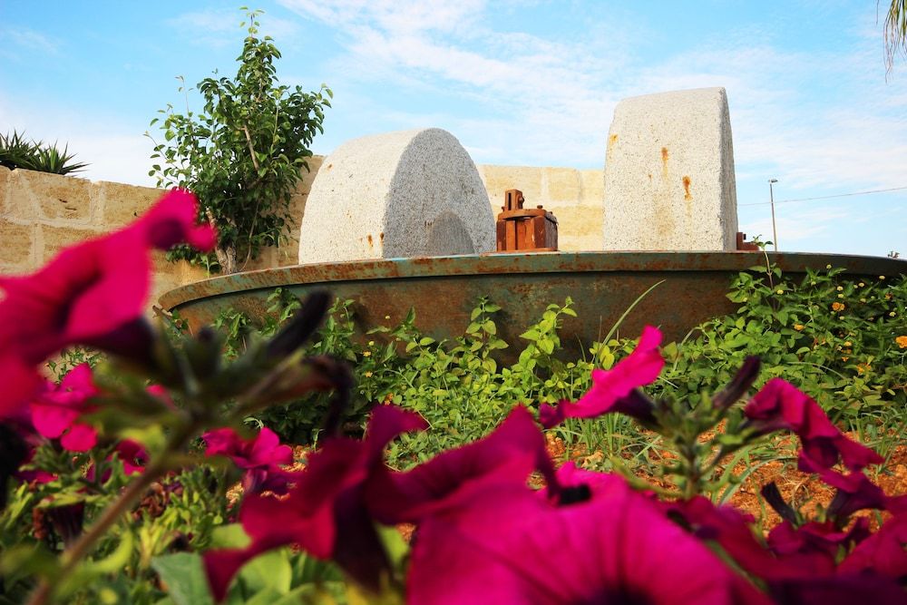 Antiche Macine Del Salento B&B