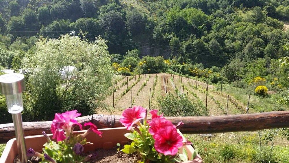 Il Ghiro Bed & Breakfast