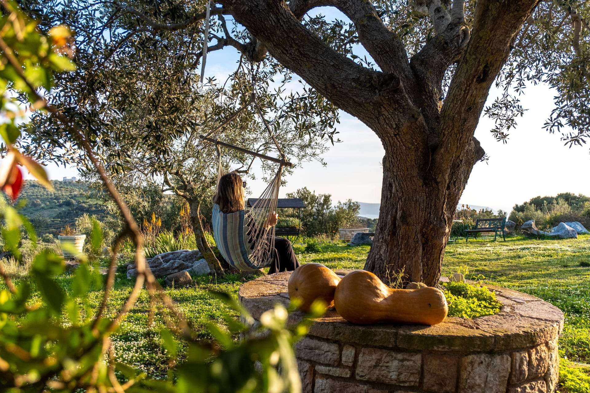 Chamaloni Cottages
