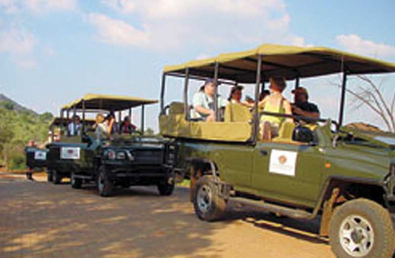 Ivory Tree Game Lodge