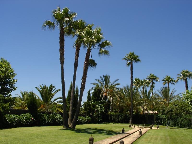 El Cortijo De Los Mimbrales