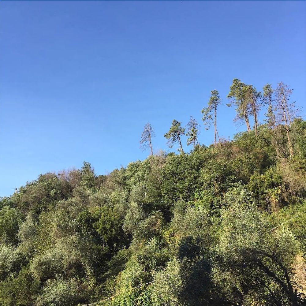 Il Capriolo Bed&Breakfast