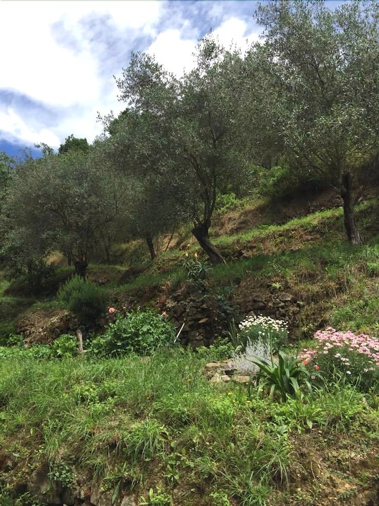 Il Capriolo Bed&Breakfast