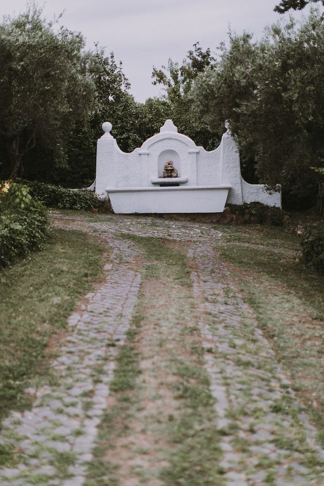 Il Pettirosso B&B