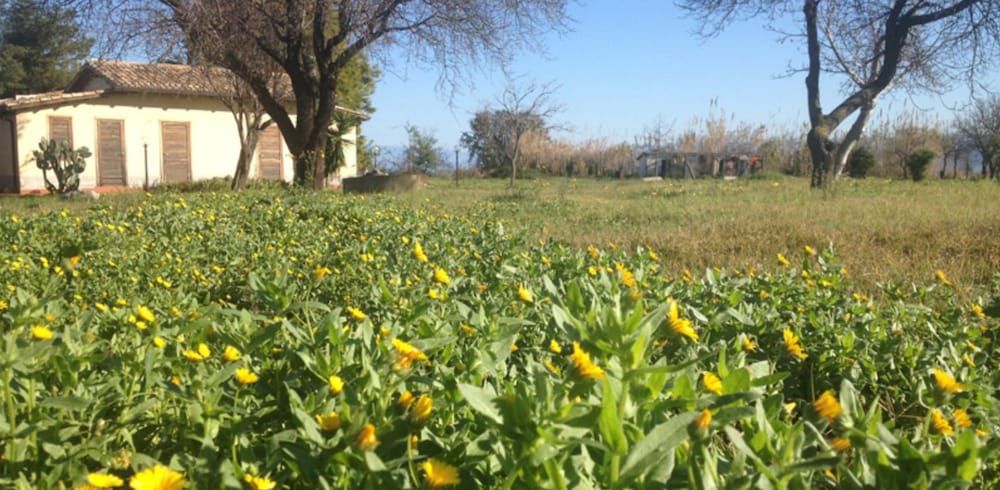 Feudo di Villa Anticaglia