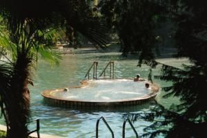 Villa dei Cedri S.P.A.