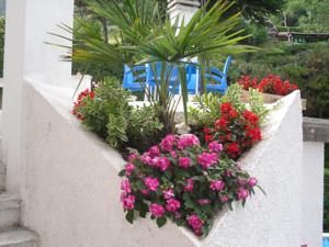 Cà Vecia