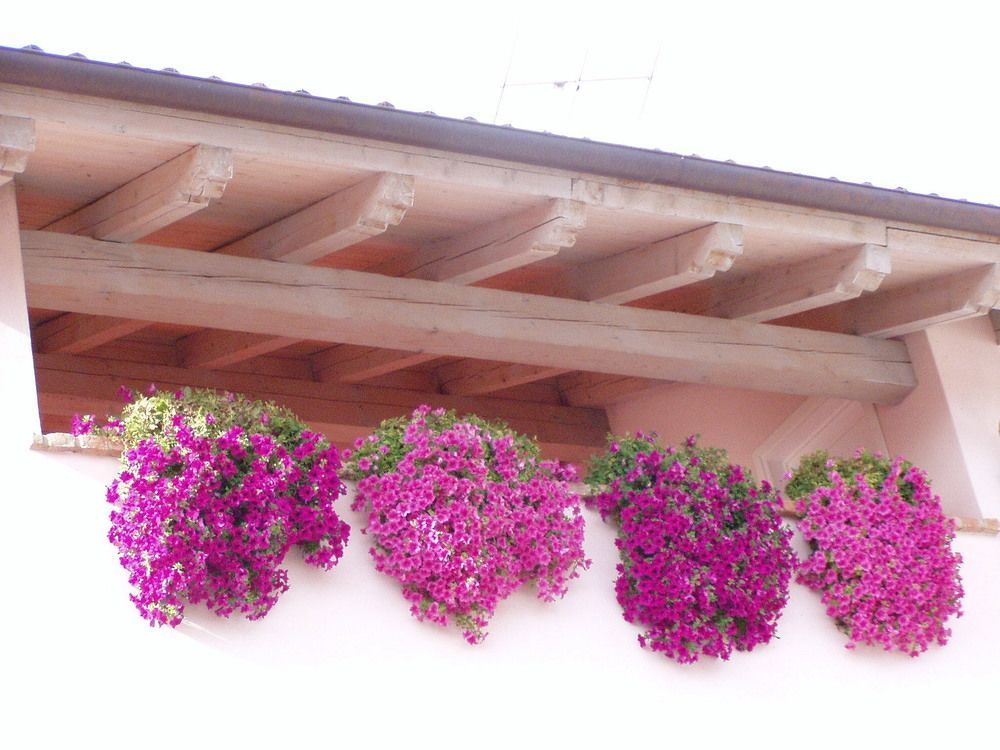 Bramaluna Bed And Breakfast