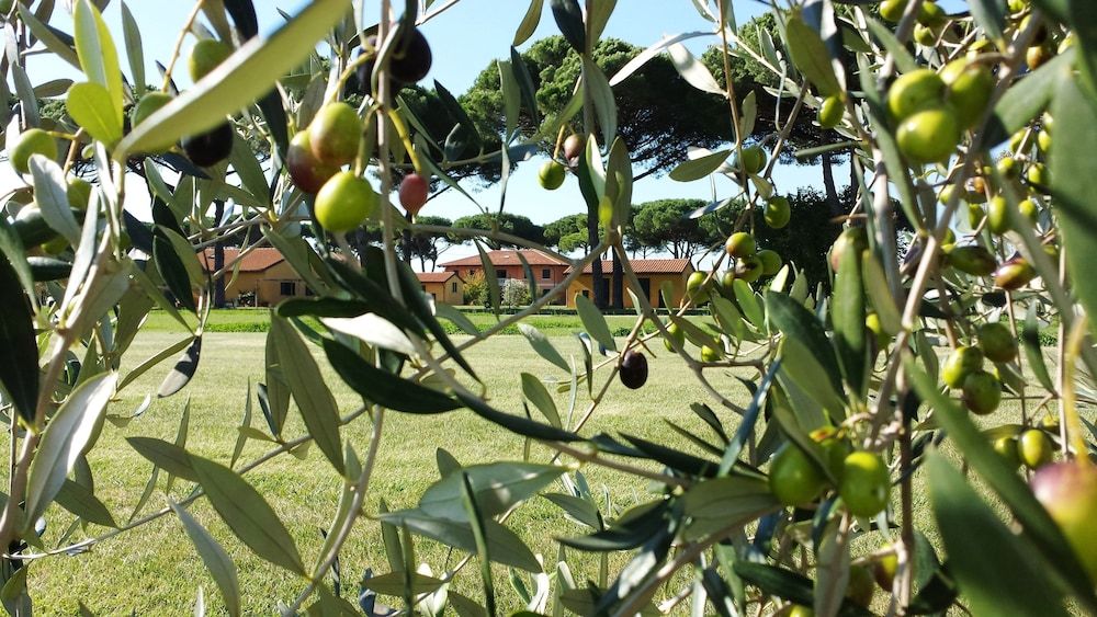 Agriturismo La Fattoria di Tirrenia