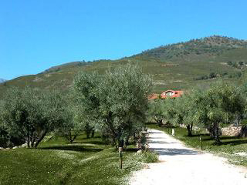 La Sayuela