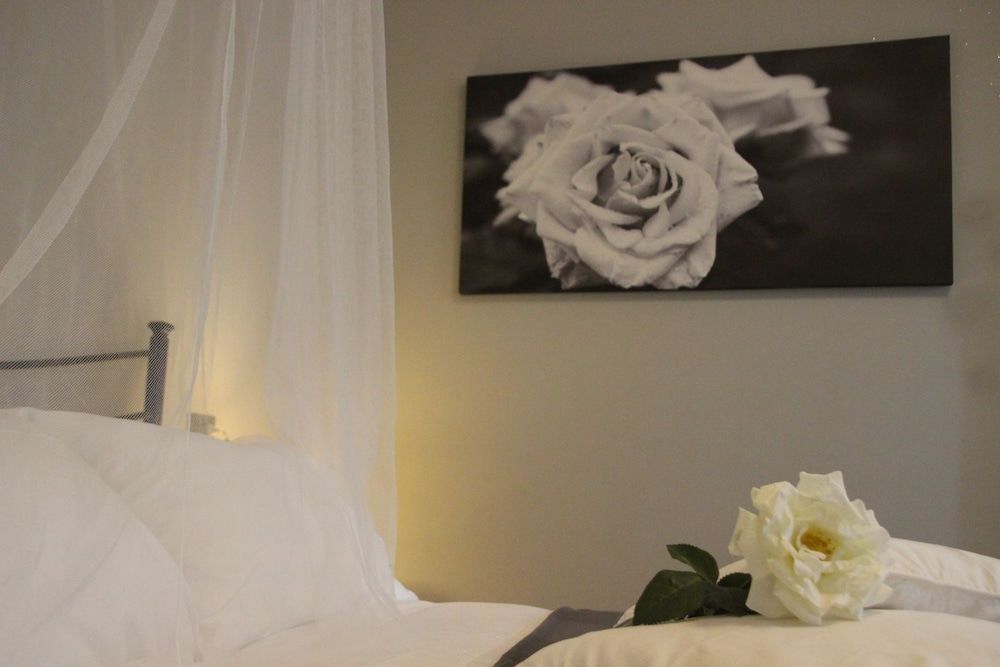 B&B Villa Rosa