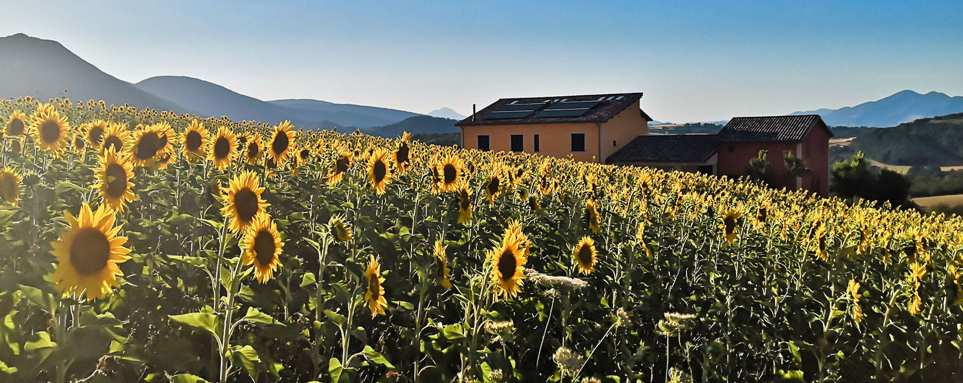 Tenuta Grimaldi