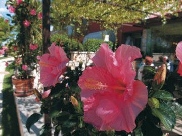 Hotel Du Lac