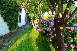 Anexo Los Infantes