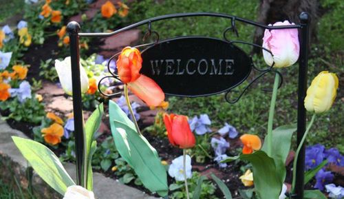B&B Il Tulipano