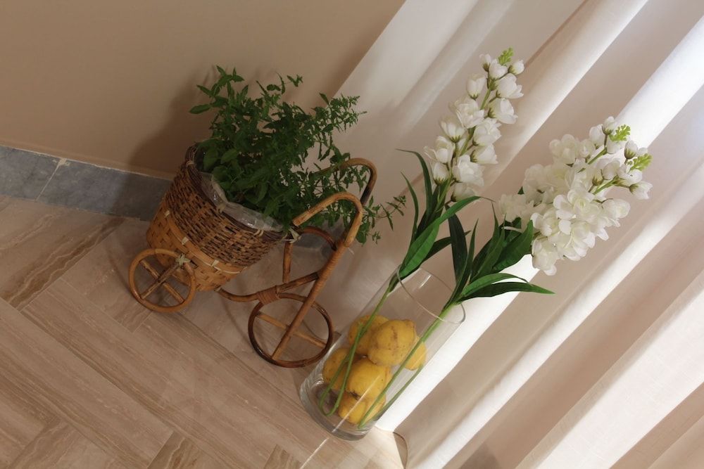 B&B Menta E Limone