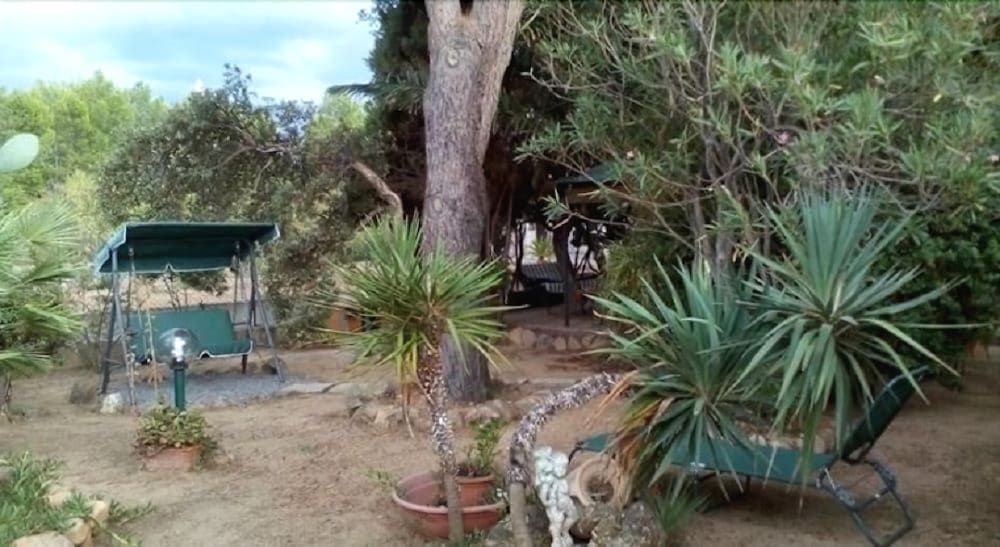B&B Il Vigneto