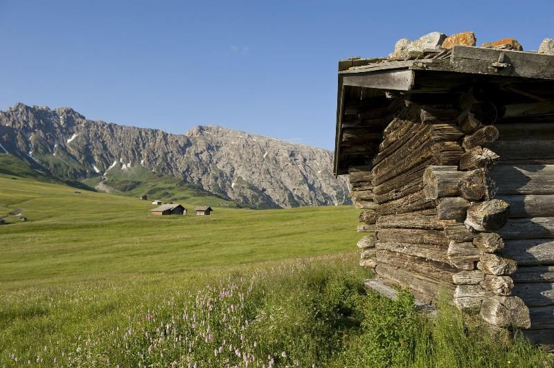 Seiser Alm Urthaler